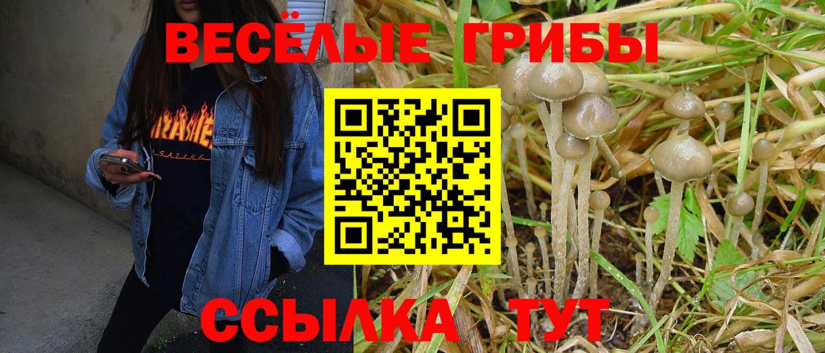 Галлюциногенные грибы GOLDEN TEACHER  цена   Семёнов  Вход с VPN 